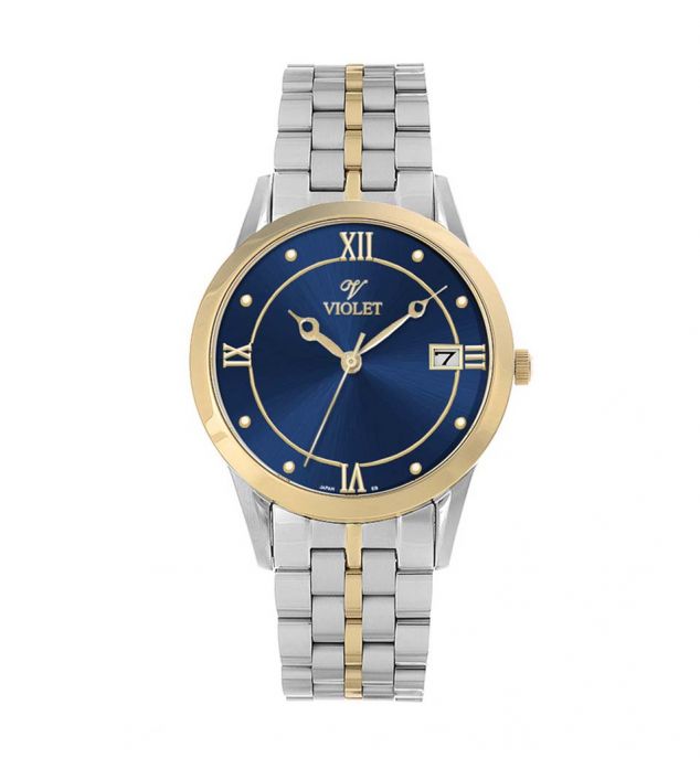 ساعت مردانه ویولت B0578G-858