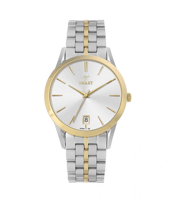 ساعت مردانه ویولت B0640G-818