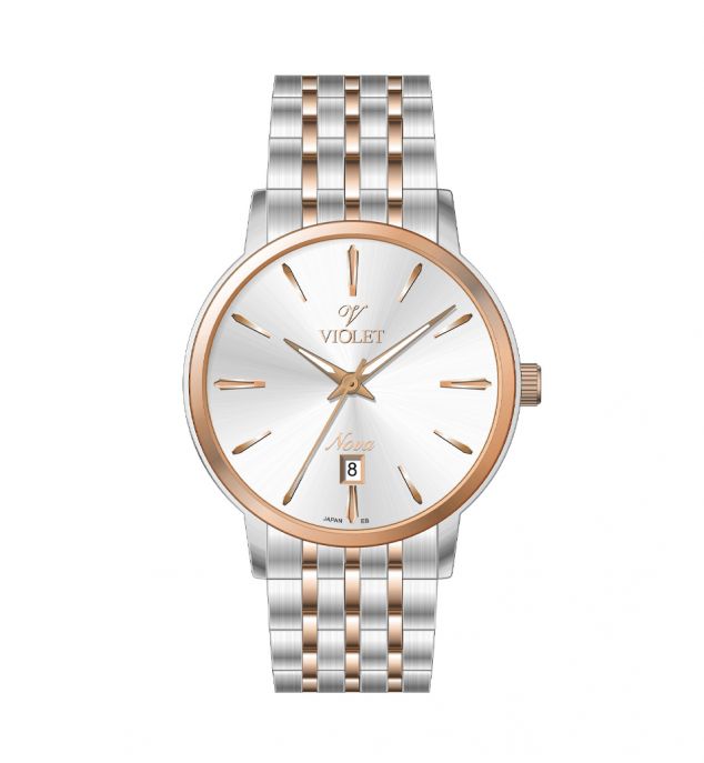 ساعت مردانه ویولت B32764G-919